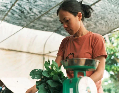 Sách của Hằng “Xanh”