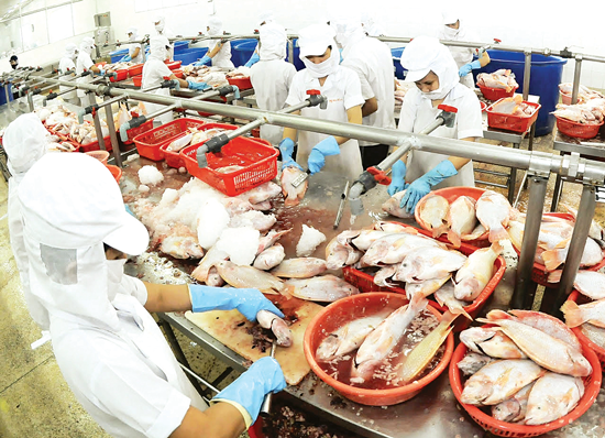 Agro-forestry-fishery exports: secondary items make up mainstay reduction ảnh 1