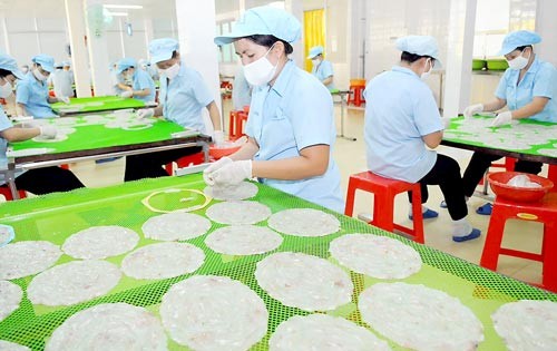Fish processing for exports in Can Gio district, HCMC (Photo: SGGP)