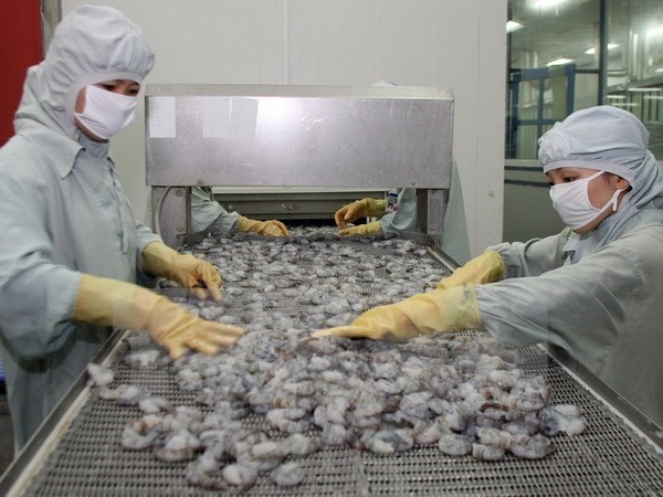 Processed shrimp for export (Source: VNA)