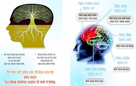 Nở rộ dịch vụ chọn nghề cho con qua… vân tay