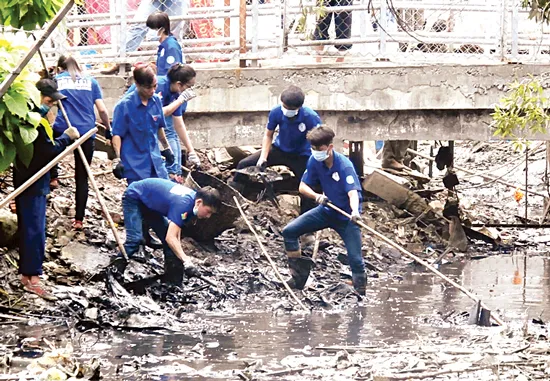 Sức trẻ tình nguyện ảnh 4