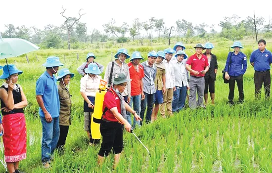 Sức trẻ tình nguyện ảnh 6