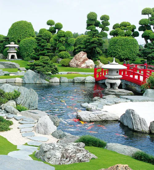 Xem hội thi chim chào mào tại Công viên Cá Koi Nhật Bản