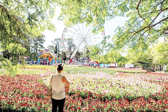 Đến Úc dự Lễ hội hoa Floriade lần thứ 28