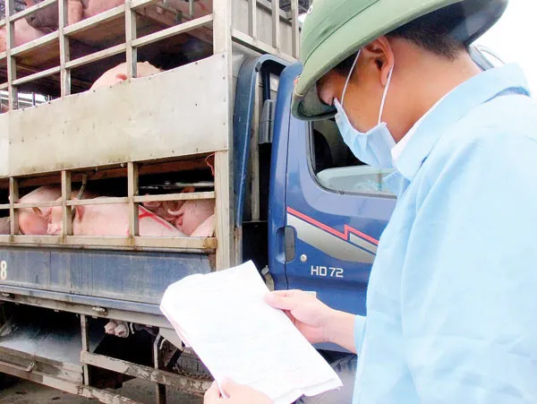 Cắt phí để giảm gánh nặng lên người chăn nuôi