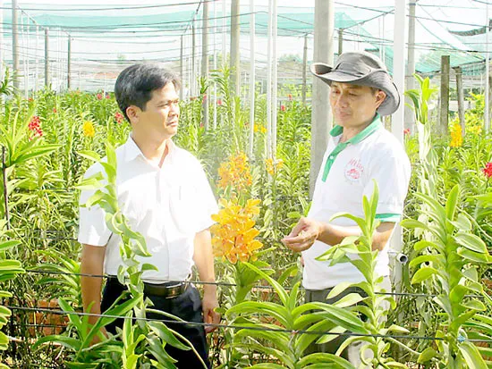 Bài 1: Rủ nhau làm giàu