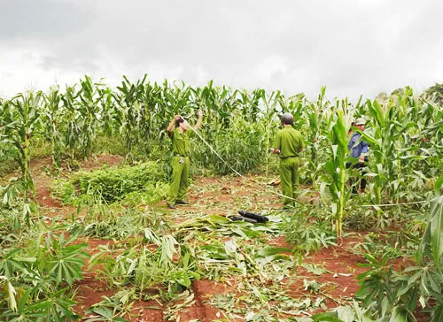 Đắk Lắk: Rơi xuống giếng sâu hơn 30m, một phụ nữ thoát chết