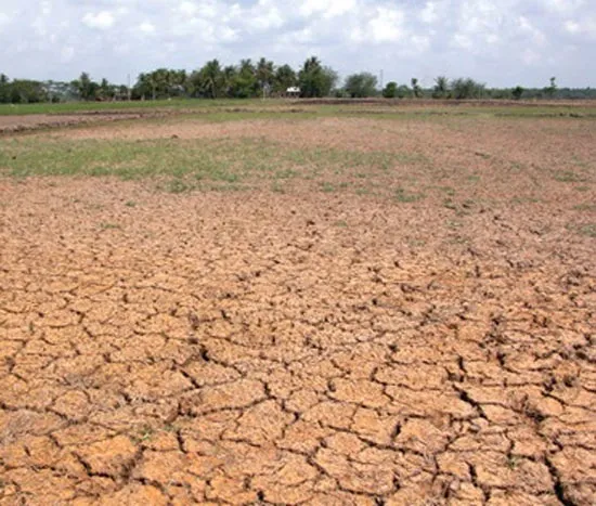 Nam bộ sẽ khô hạn và xâm mặn nặng