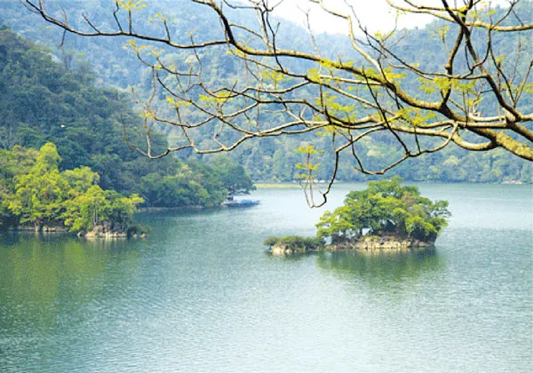 Mấy con dao quăng?