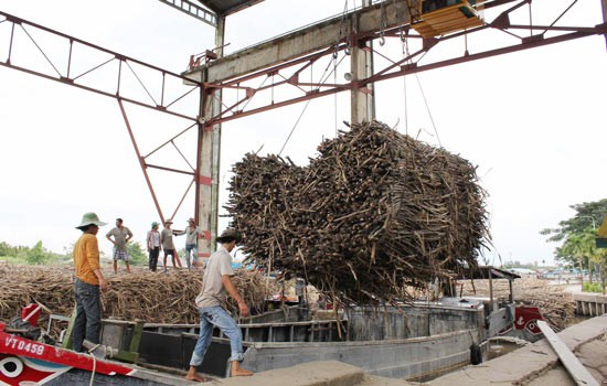 Sugarcane is being loaded aboard before transported to processing plants in the Mekong Delta (Photo: SGGP)