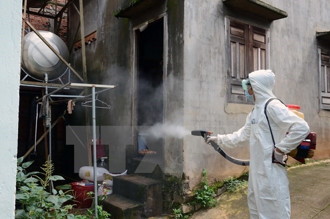 Spraying chemicals to eradicate mosquito and larva. Photo: VNA