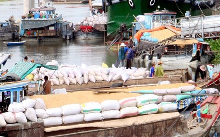 Rice bags are loaded onto a ship in the southern province of Dong Thap (Photo: VNA)