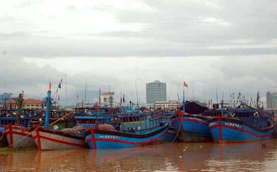 Fishing vessels move safer places to avoid the typhoon.(Photo: SGGP)