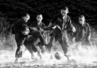 Ánh sáng cuộc sống ảnh 6
