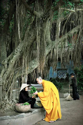 Ánh sáng cuộc sống ảnh 2