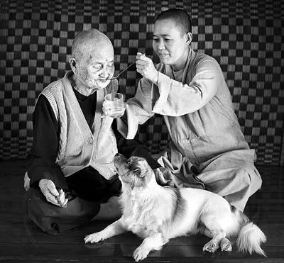 Ánh sáng cuộc sống ảnh 5