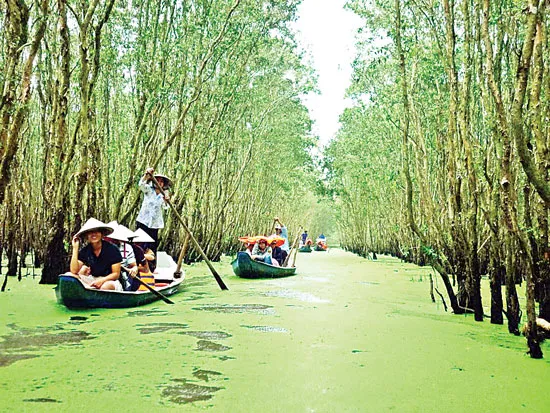 Quyến rũ mùa thu quê hương