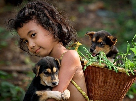 Golden photo: A photo titled Than Quen (Friends) by Dang Ke Dong from Quang Nam Province won silver medal at the International Federation of Photographic Art Awards in Serbia. — Photo courtesy of Quang Nam Newspaper