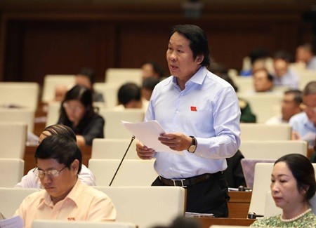 Da Nang deputy Than Duc Nam speaks at the ongoing 10th session of its 13th tenure. (Photo: VNA/VNS)