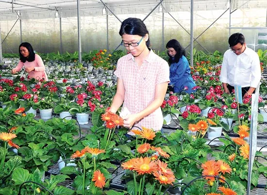 Vững vàng vai trò đầu tàu