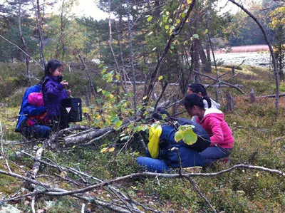 Nỗi lo không của riêng ai