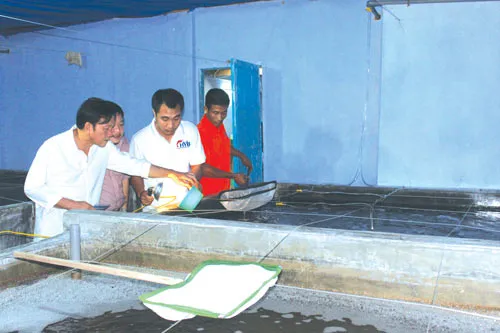 Hùng Vương mở rộng lĩnh vực sản xuất kinh doanh