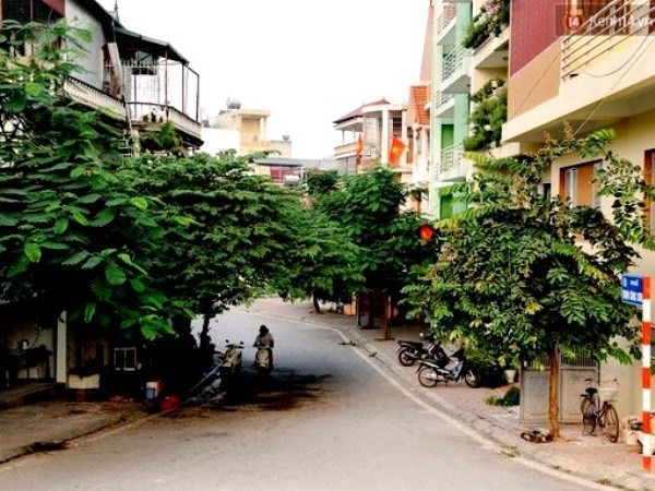 A corner of Hanoi (Source: VNA)