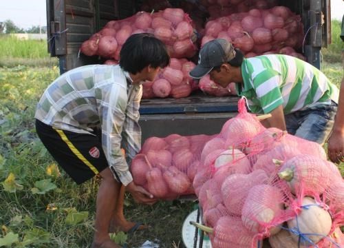 The Mekong Delta calls for investment in 74 projects at a conference in Can Tho City on November 20. (Photo :VNA)