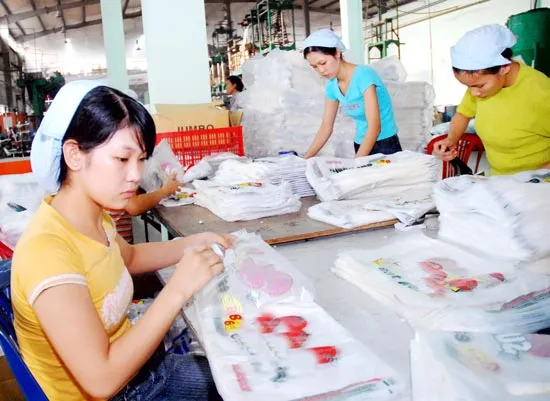 Hỗ trợ doanh nghiệp nhỏ và vừa tại TPHCM kinh nghiệm từ thực tiễn