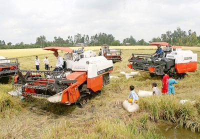 The Government Inspectorate on December 8 announced many violations at the Southern Food Corporation including those in rice purchase under the Government’s stockpiling program (Photo: SGGP)