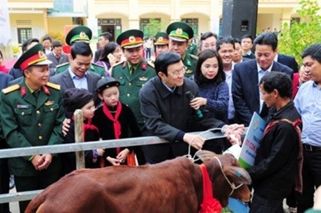 President Truong Tan Sang presented 20 cows to poor households in border district of Vi Xuyen. — Photo VNA