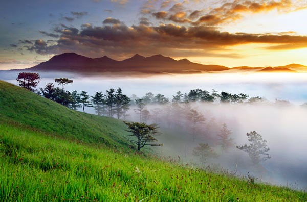 The sunrise in the central highlands by photographer Vo Trang -SGGP
