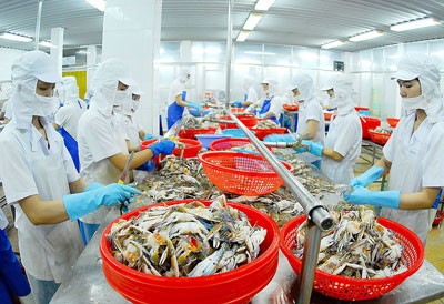 Social insurance premium increase aims at higher pension for workers (Photo: SGGP)