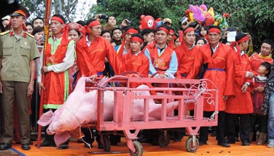 The ritual pig-chopping rite in Bac Ninh Province (Photo: Sggp)