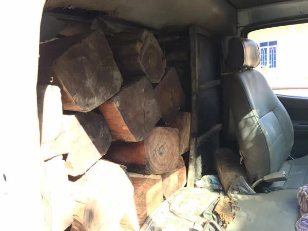 Đắk Lắk: Lâm tặc tấn công kiểm lâm, cướp gỗ