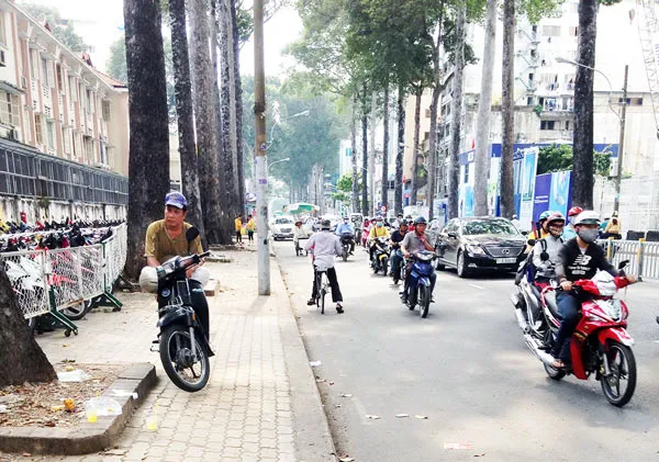 Xử lý nghiêm việc dừng đậu ô tô không đúng quy định