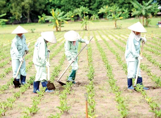 Phì đại tuyến tiền liệt: Bệnh khó nói của quý ông