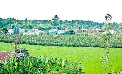 Đến năm 2020: 50% xã đạt tiêu chuẩn nông thôn mới