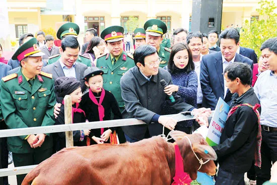 Chủ tịch nước Trương Tấn Sang trao tặng bò giống cho các hộ nghèo ở Hà Giang