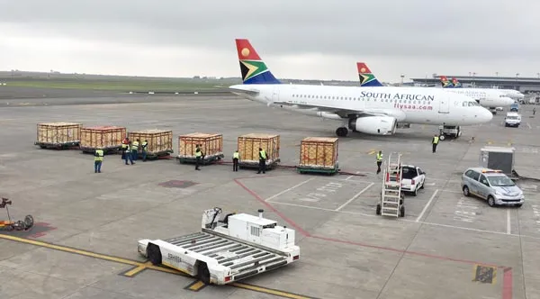 Ngựa vằn, lạc đà, linh dương… đi máy bay riêng ra Vinpearl Safari Phú Quốc