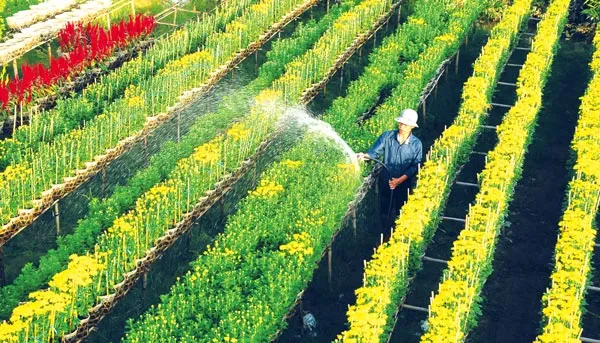 Du Xuân trúng vàng cùng TST tourist