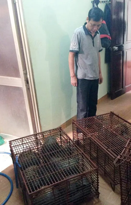 Bắt đối tượng mua bán động vật hoang dã quý hiếm