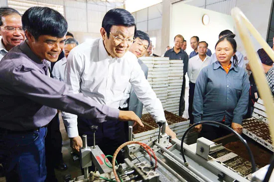 Mạnh dạn ứng dụng công nghệ cao vào nông nghiệp