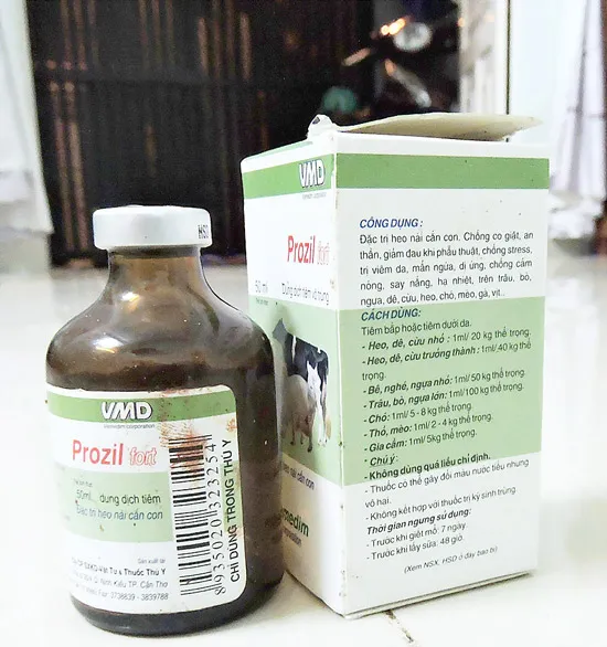 Hang ổ lò mổ heo nhiễm độc