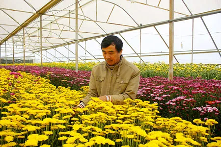 Trồng hoa ở xứ ngàn hoa