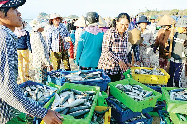 Biển bạc Kê Gà ảnh 6