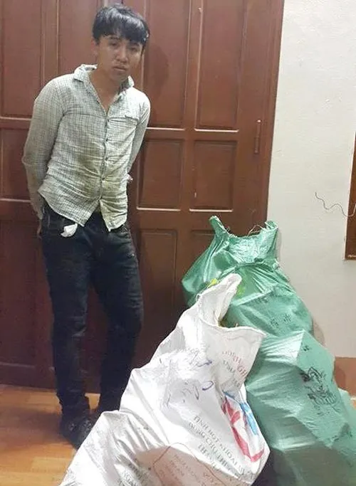 Bắt đối tượng vận chuyển gần 70kg pháo