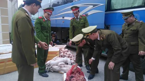 Phát hiện gần 1 tấn thịt chó, mèo và nội tạng bẩn trên xe khách