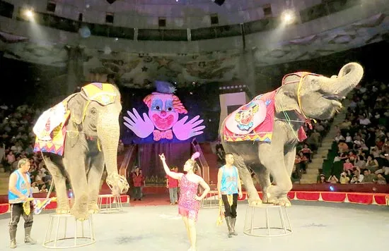 Xiếc Việt rầm rộ ra quân